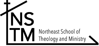 NSTM