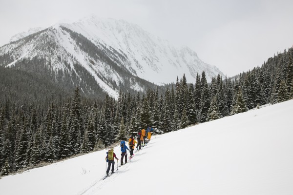 image_1557154347.jpg