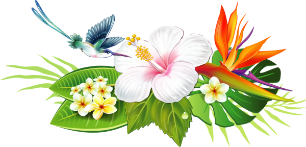 image_1786842375.png
