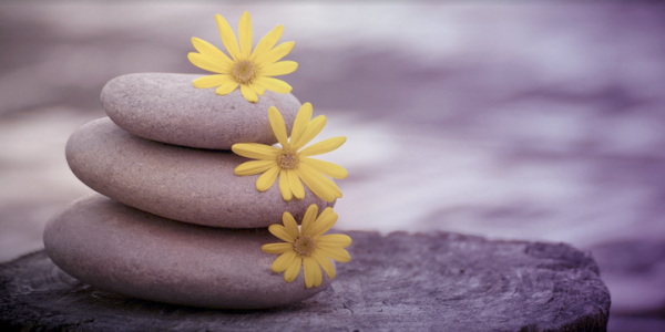 image_1723933840.png image_1723933840.png