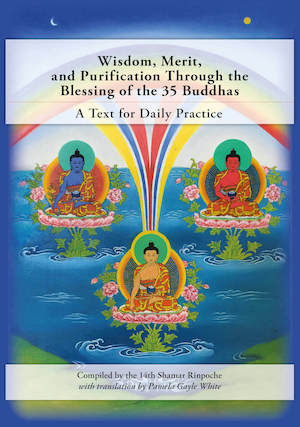 35 Buddhas Book Cover