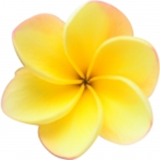 image_1632163127.png