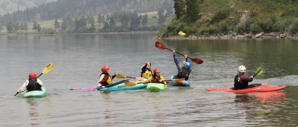 image_1547580823.png image_1547580823.png