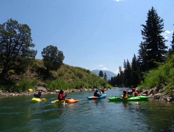 image_1547581550.jpg image_1547581550.jpg